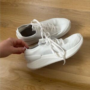 Allbirds Tree Glider